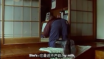 Ethnic Japanese Cow Cries Alone At Dawn In Movie